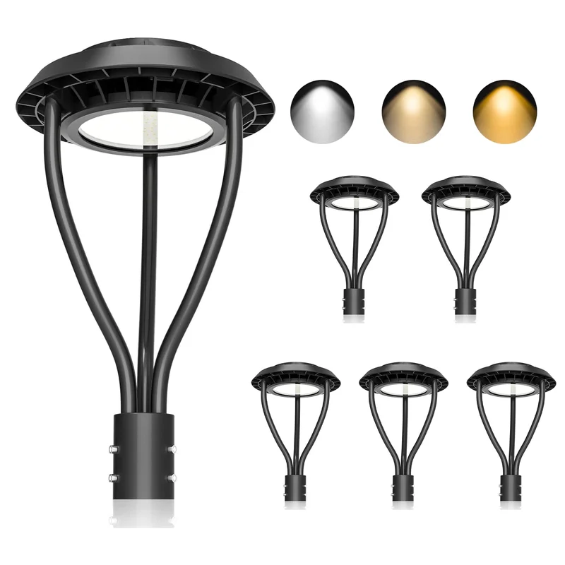 lightsdaddy524572