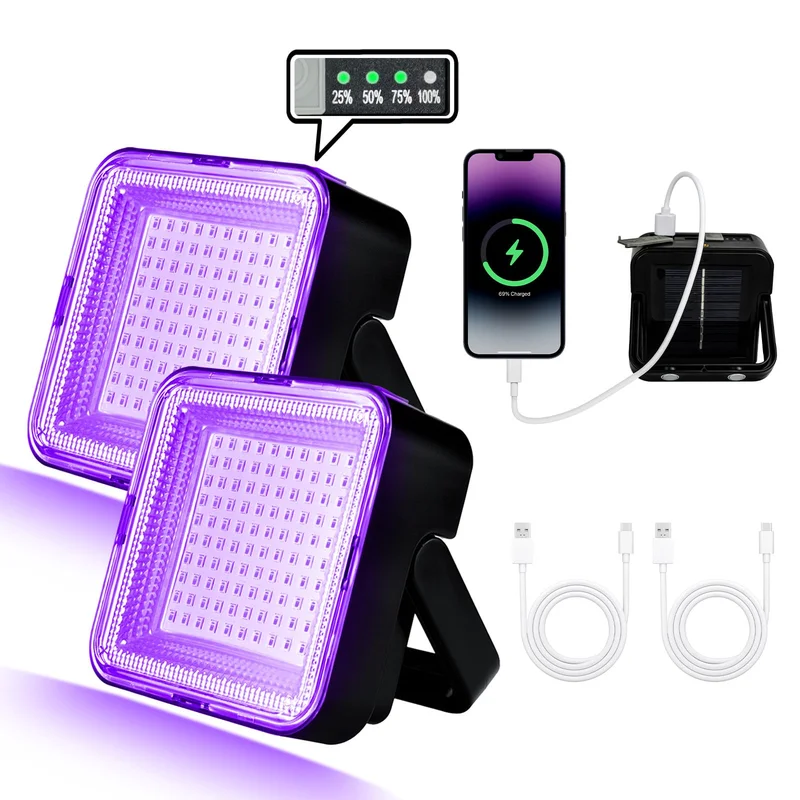 lightsdaddy529647