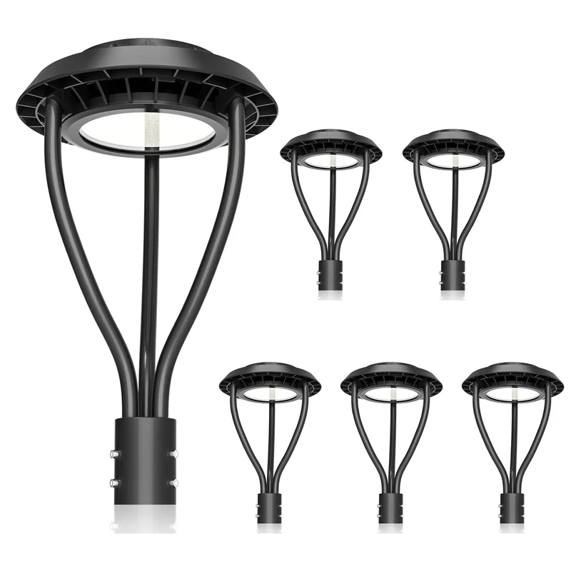lightsdaddy529842