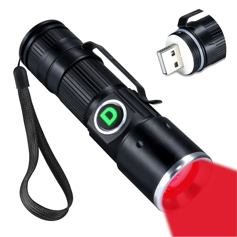 lightsdaddy537855