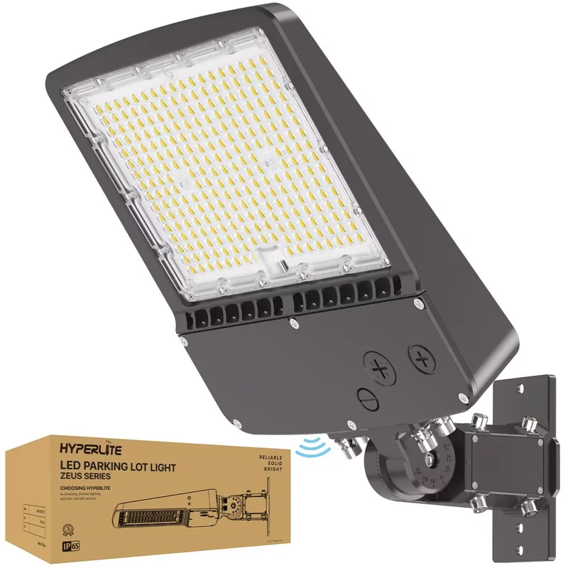 lightsdaddy542852