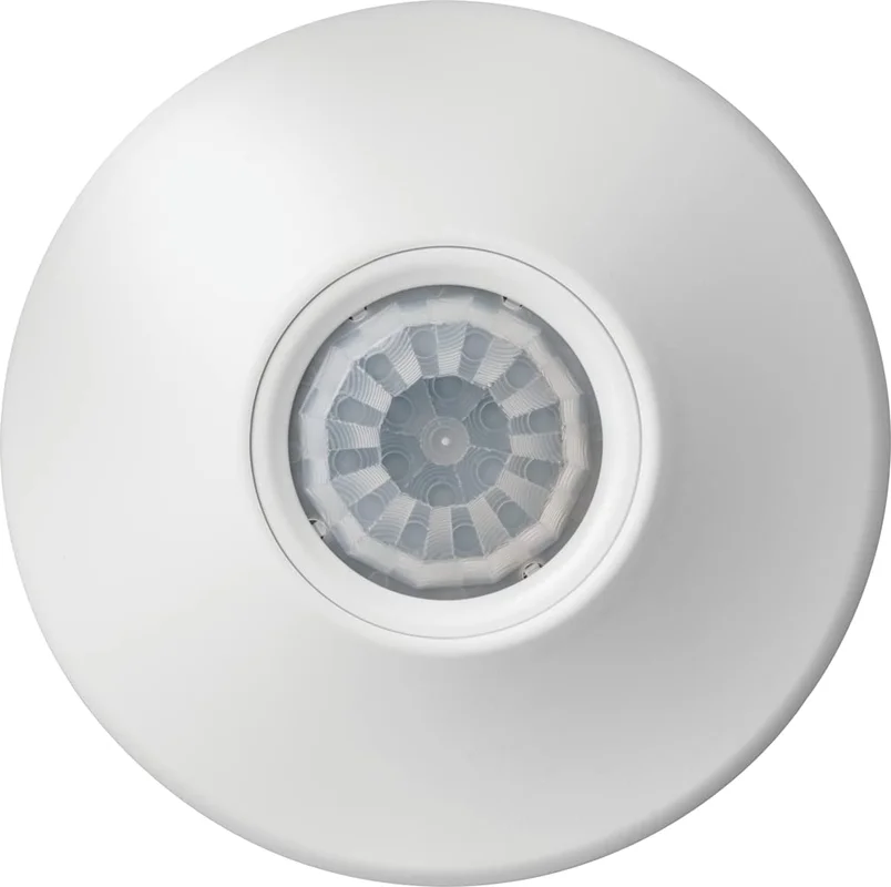 lightsdaddy545440