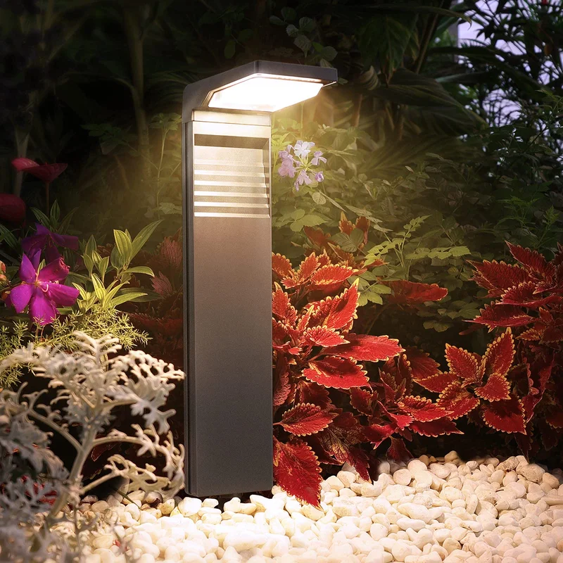lightsdaddy548206