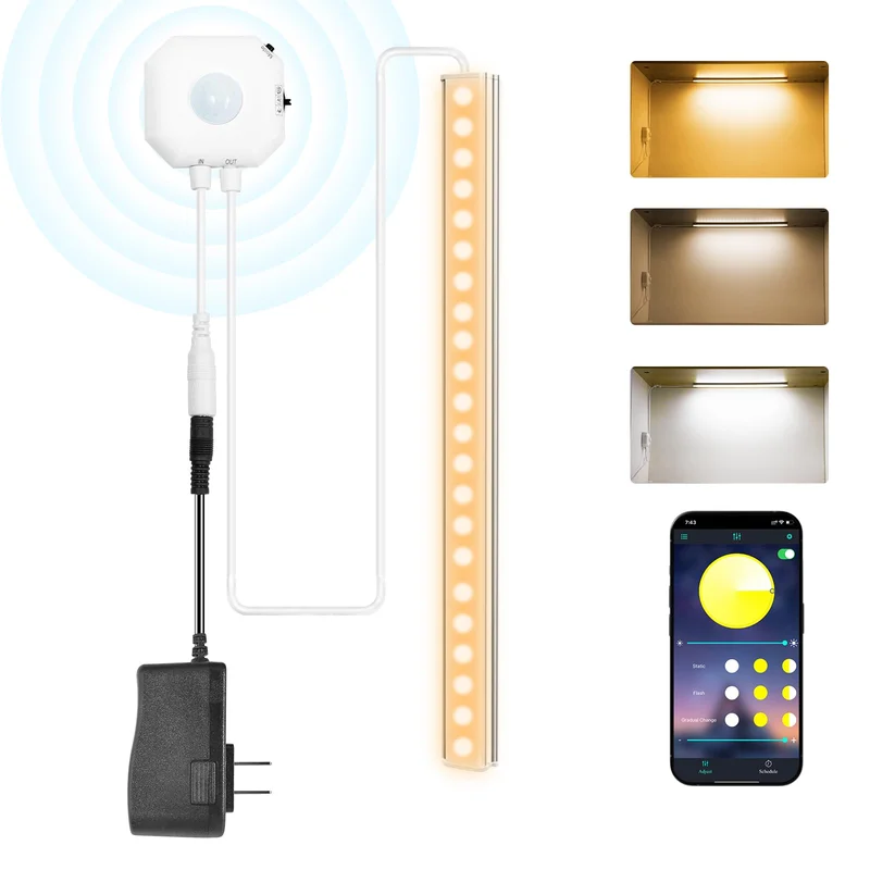 lightsdaddy556576