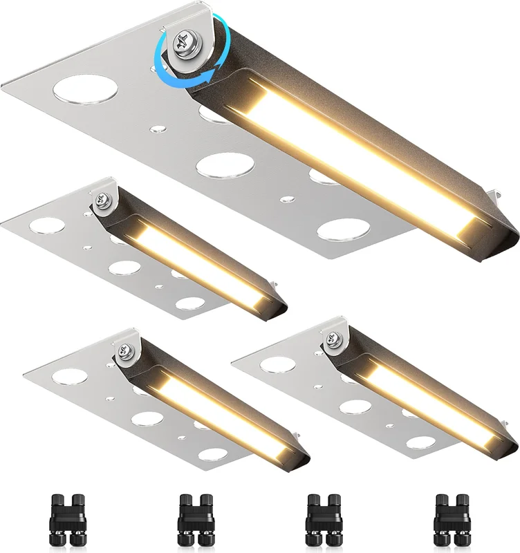 lightsdaddy558436
