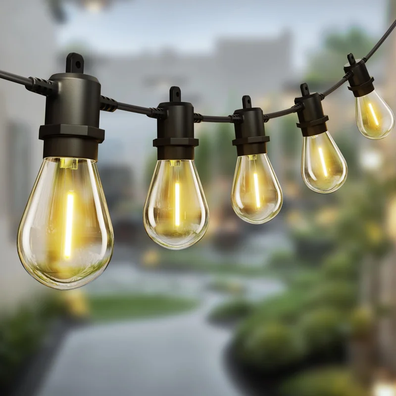 lightsdaddy565771