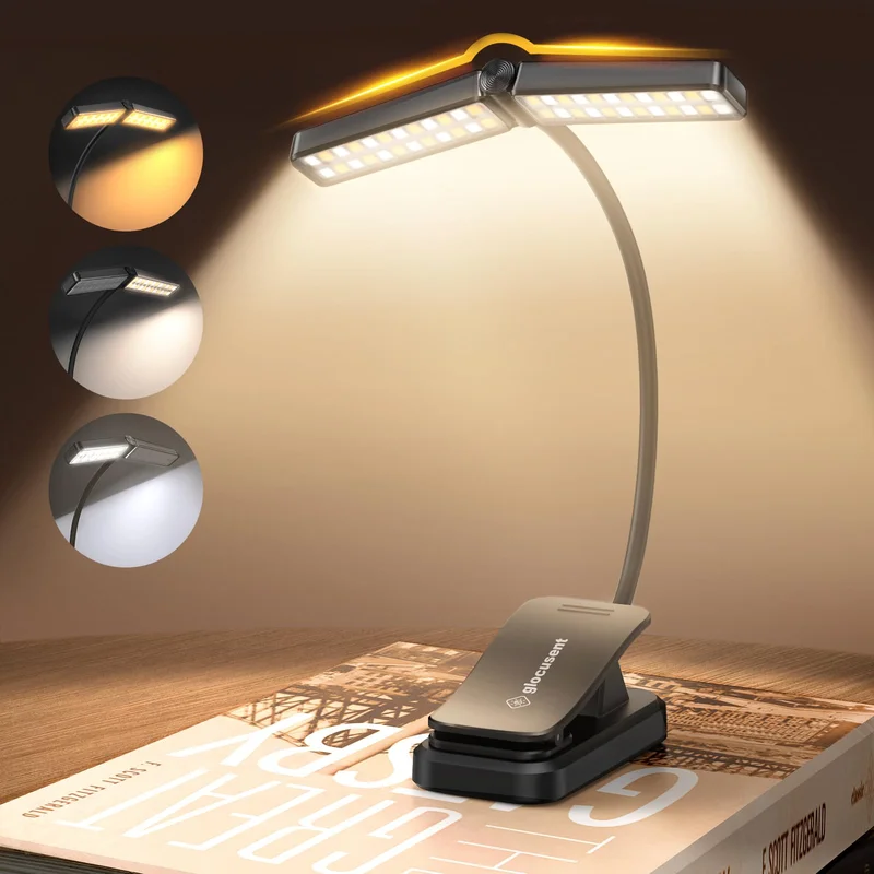 lightsdaddy571837