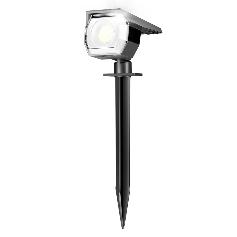 lightsdaddy582771