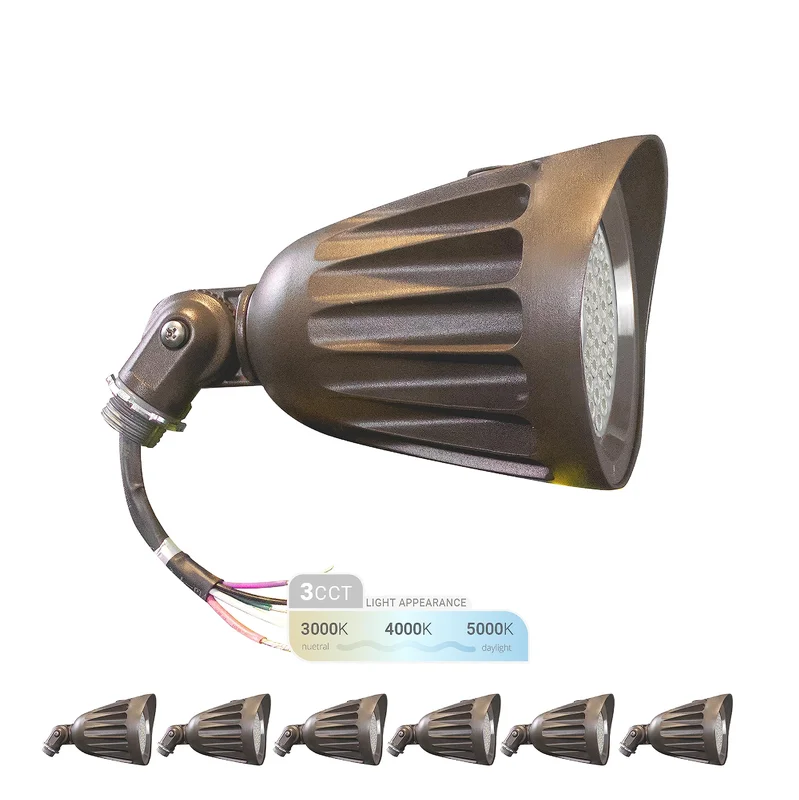 lightsdaddy586006
