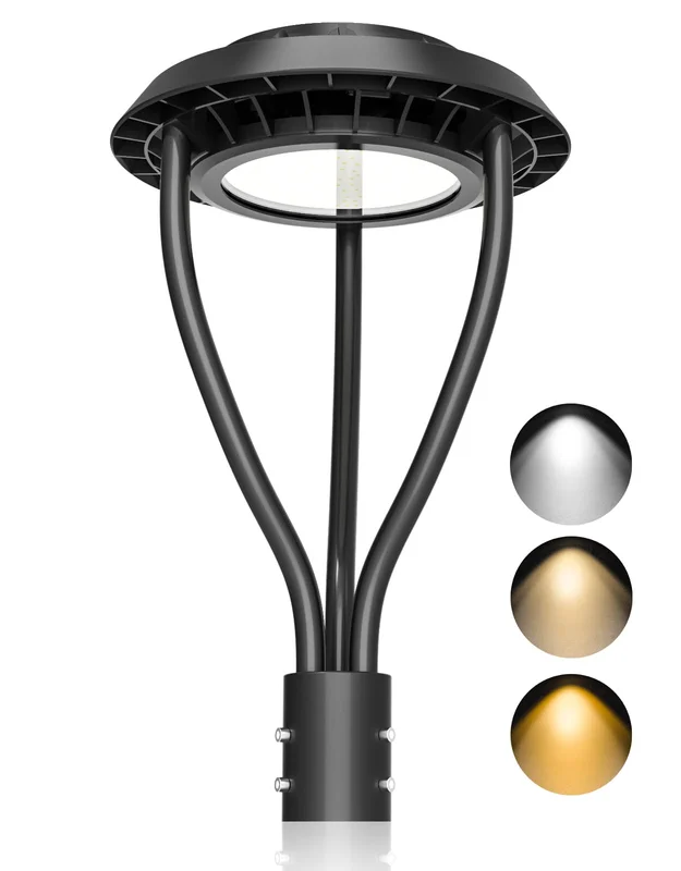 lightsdaddy587953