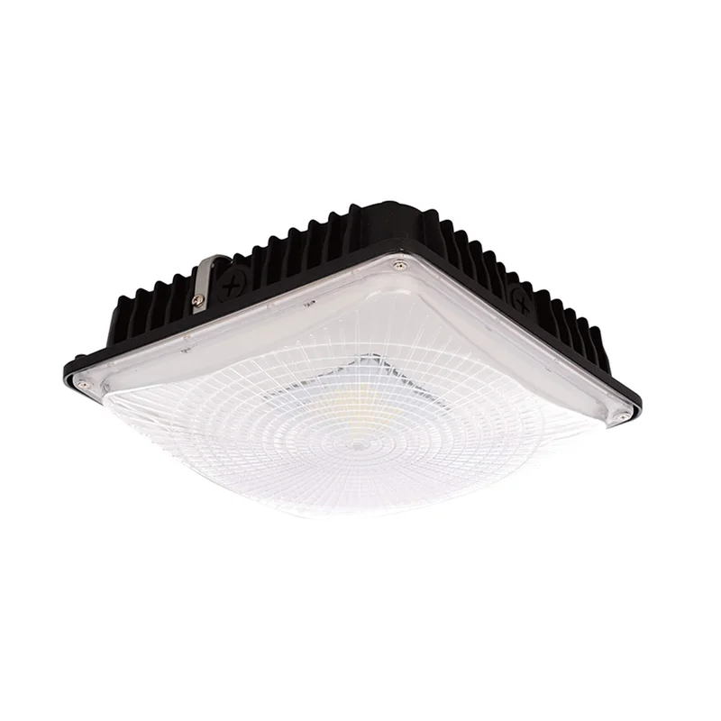 lightsdaddy594690