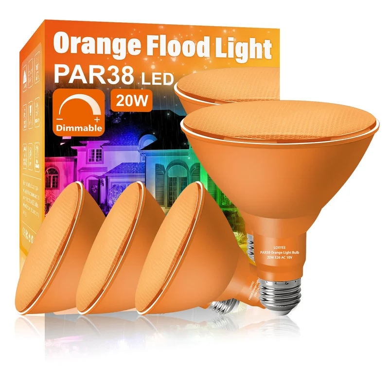 lightsdaddy59653