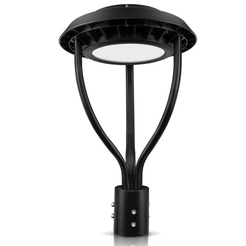 lightsdaddy599348