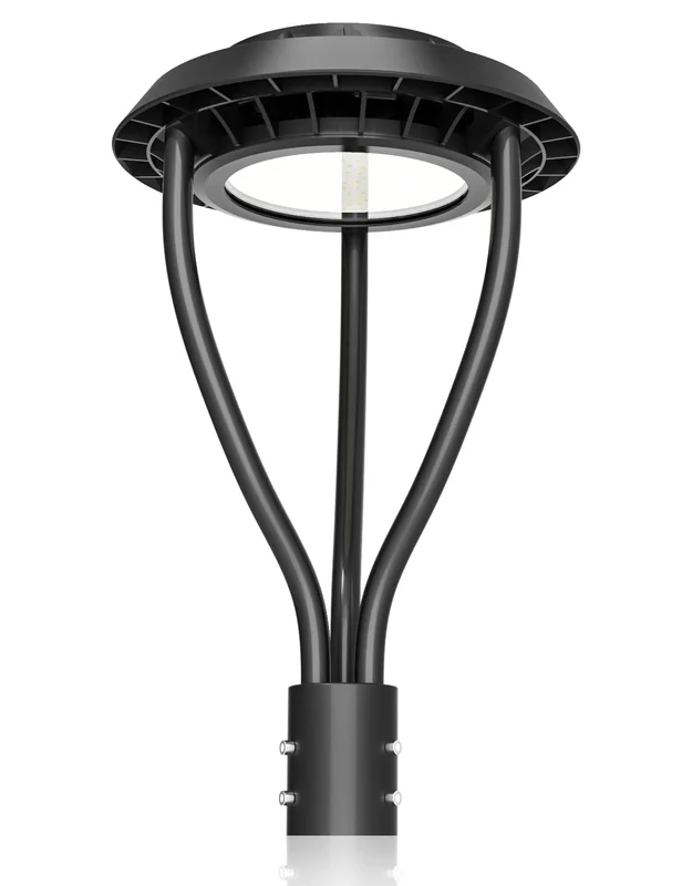 lightsdaddy604268