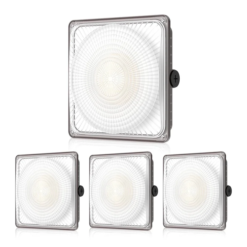lightsdaddy611163