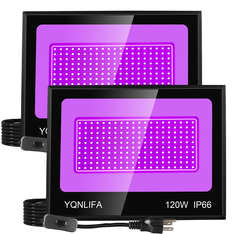 lightsdaddy611851