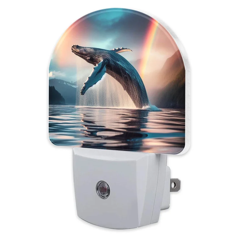lightsdaddy626767