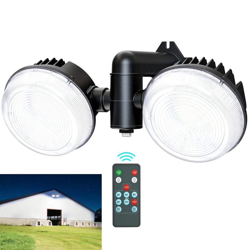 lightsdaddy627992