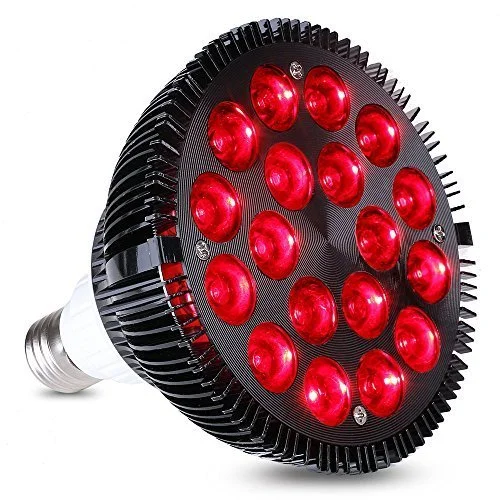 lightsdaddy632909