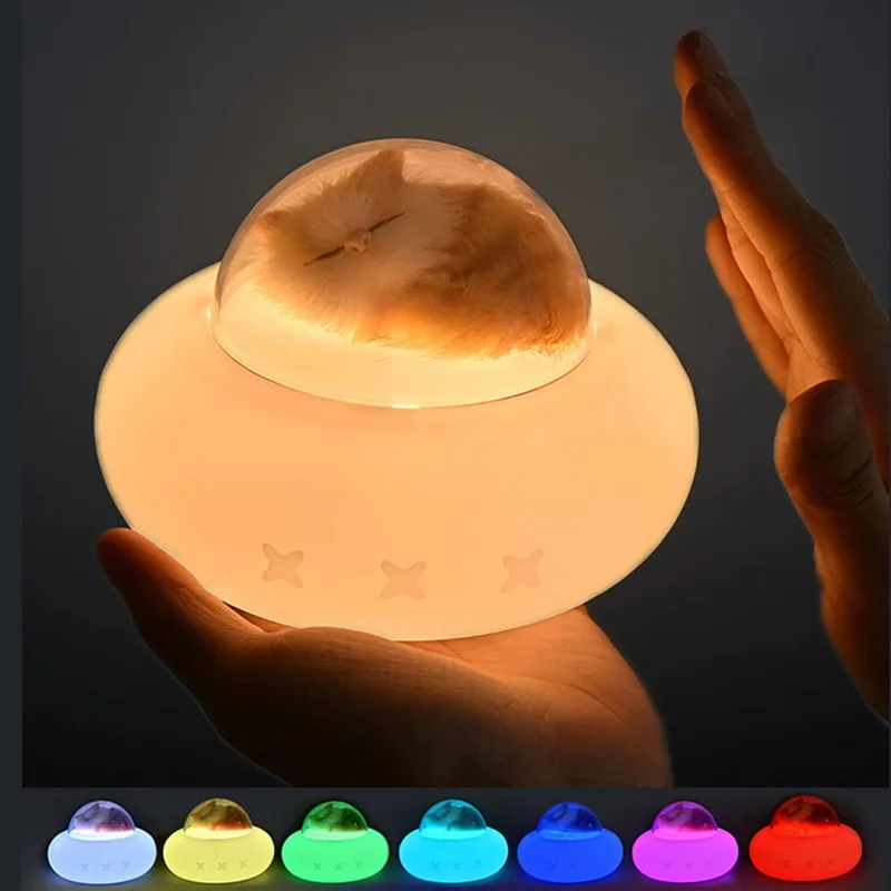 lightsdaddy632936