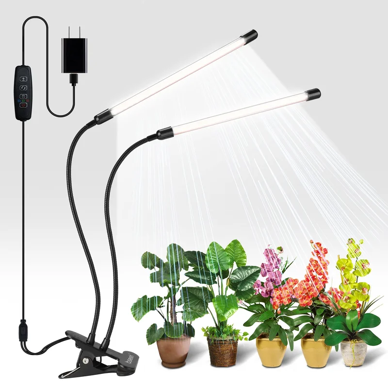 lightsdaddy633115