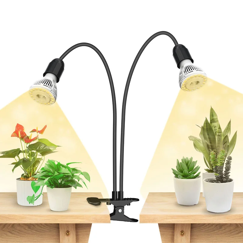 lightsdaddy633163