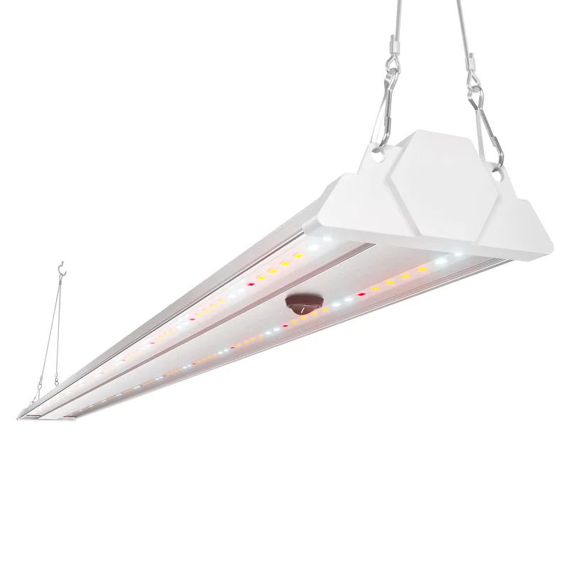 lightsdaddy633192
