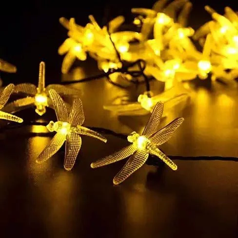 lightsdaddy642900