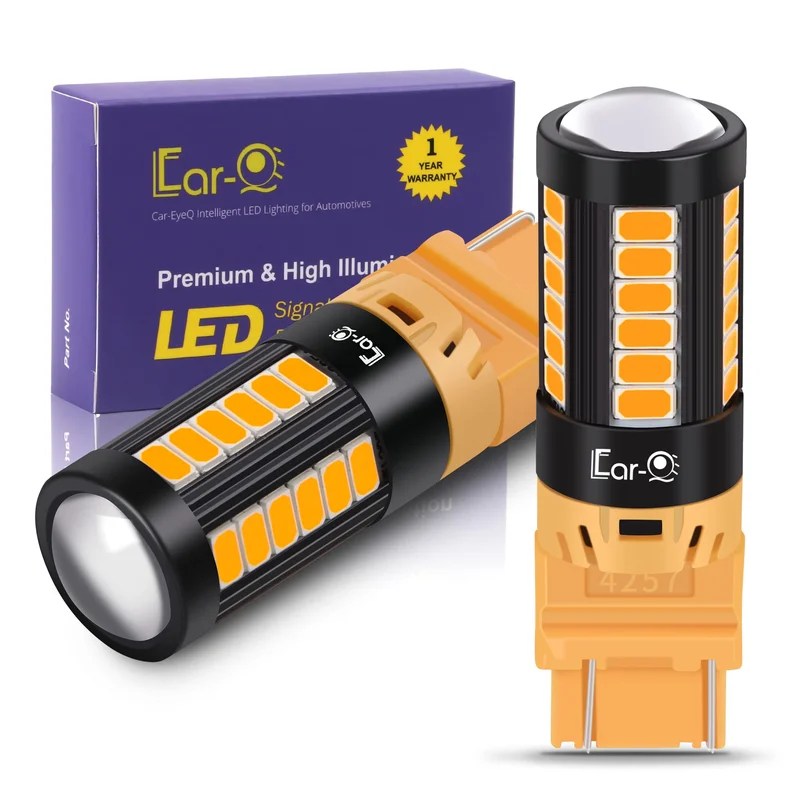 lightsdaddy645630
