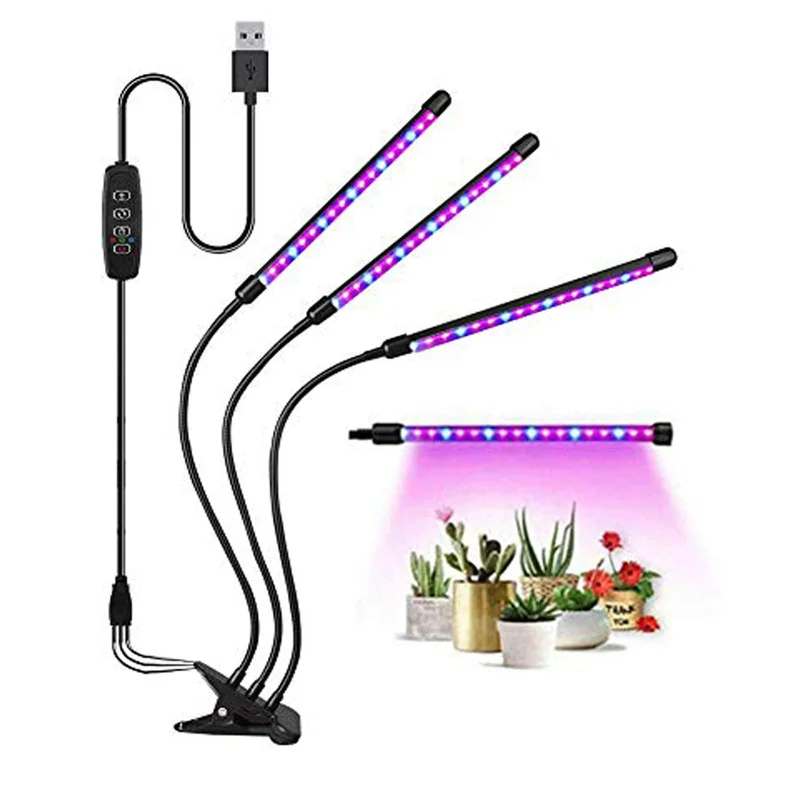 lightsdaddy646149