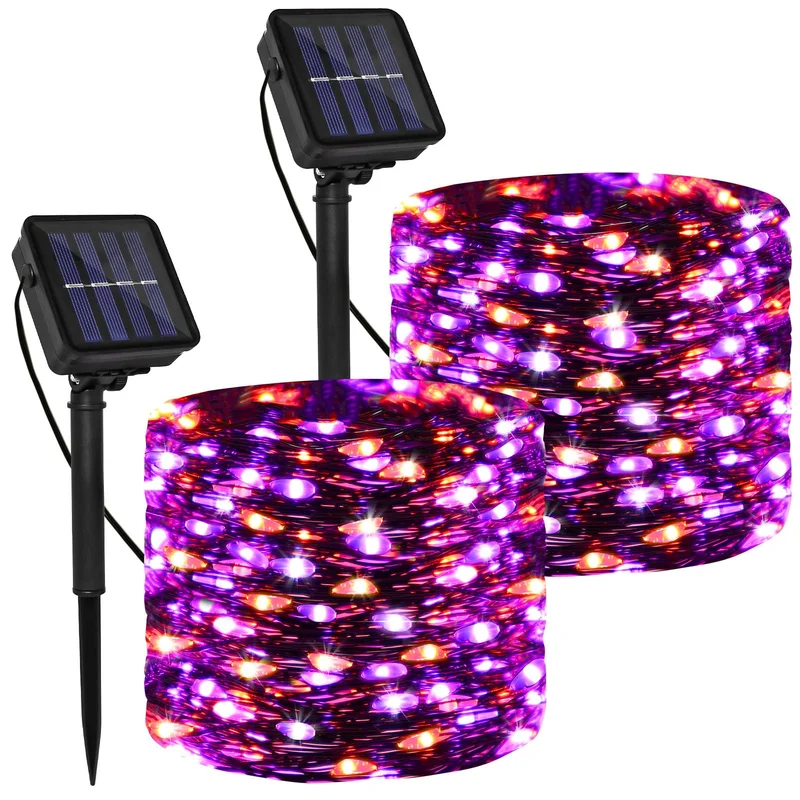 lightsdaddy648857