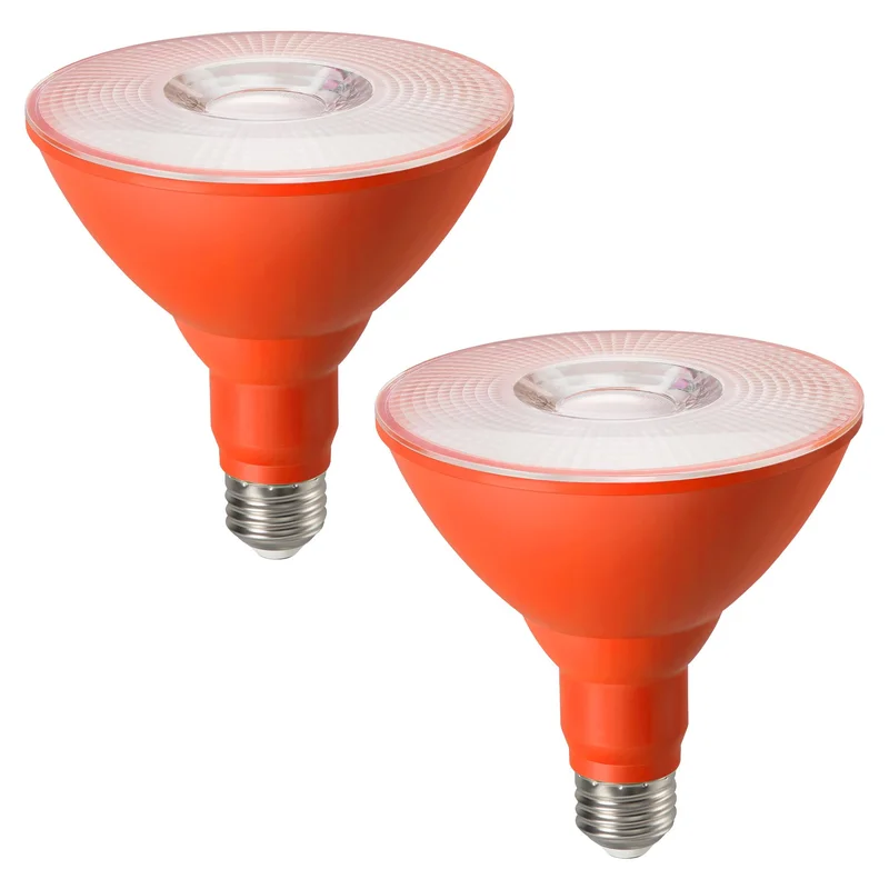 lightsdaddy65096