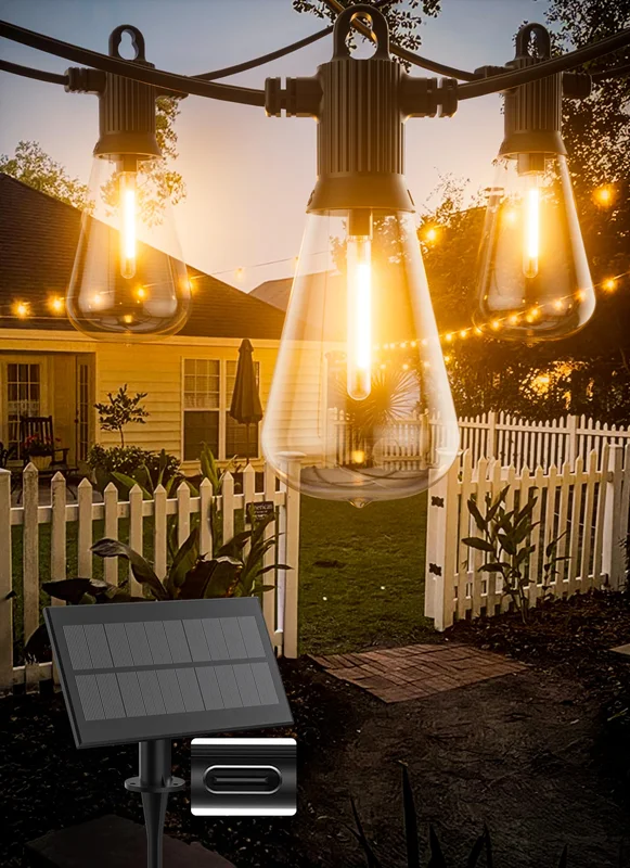 lightsdaddy652048