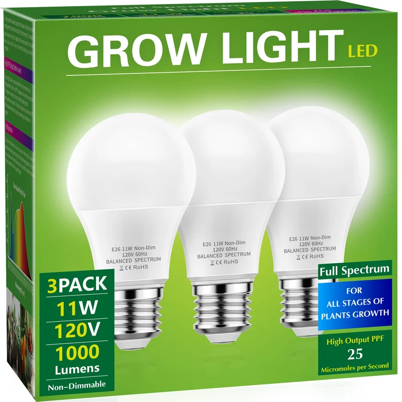 lightsdaddy656030