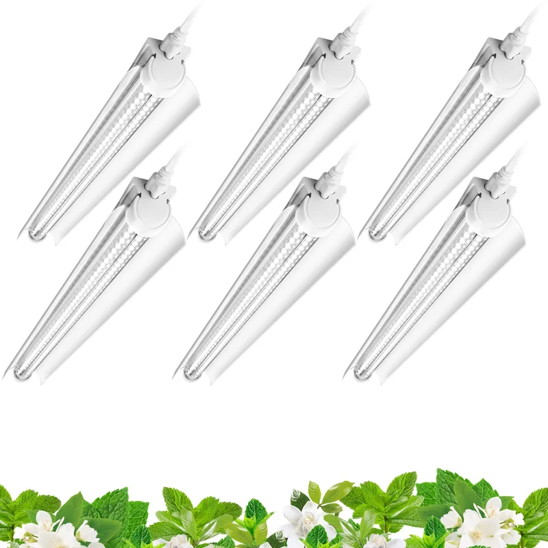 lightsdaddy656071