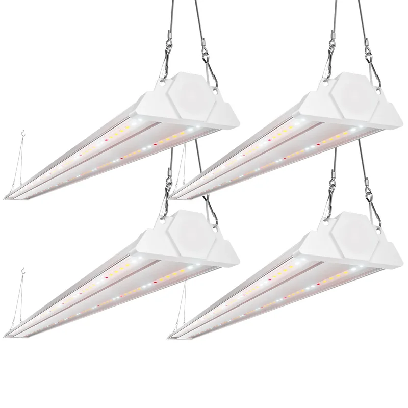 lightsdaddy656110