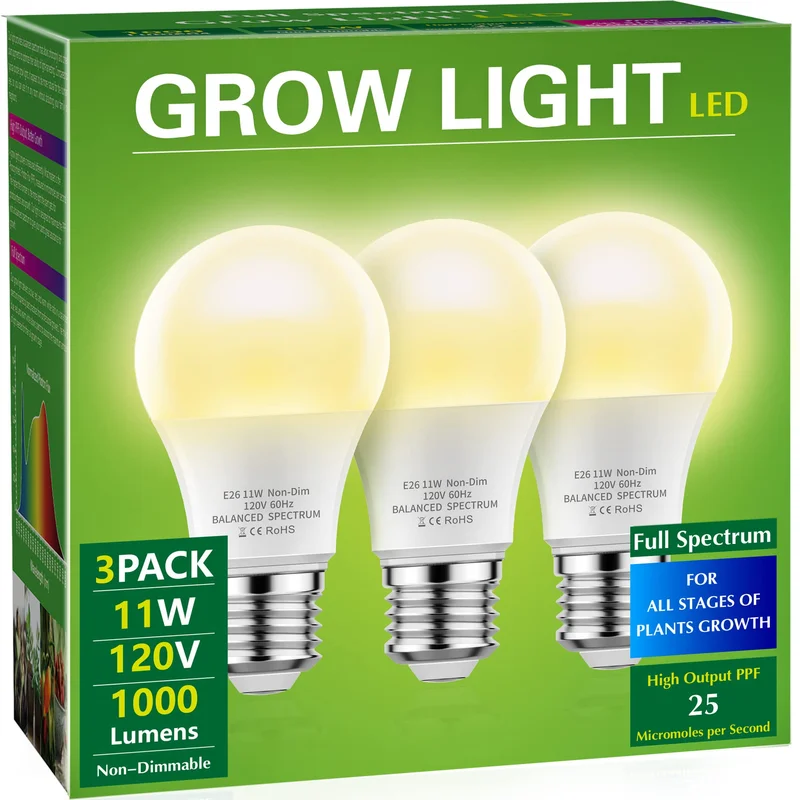 lightsdaddy656151