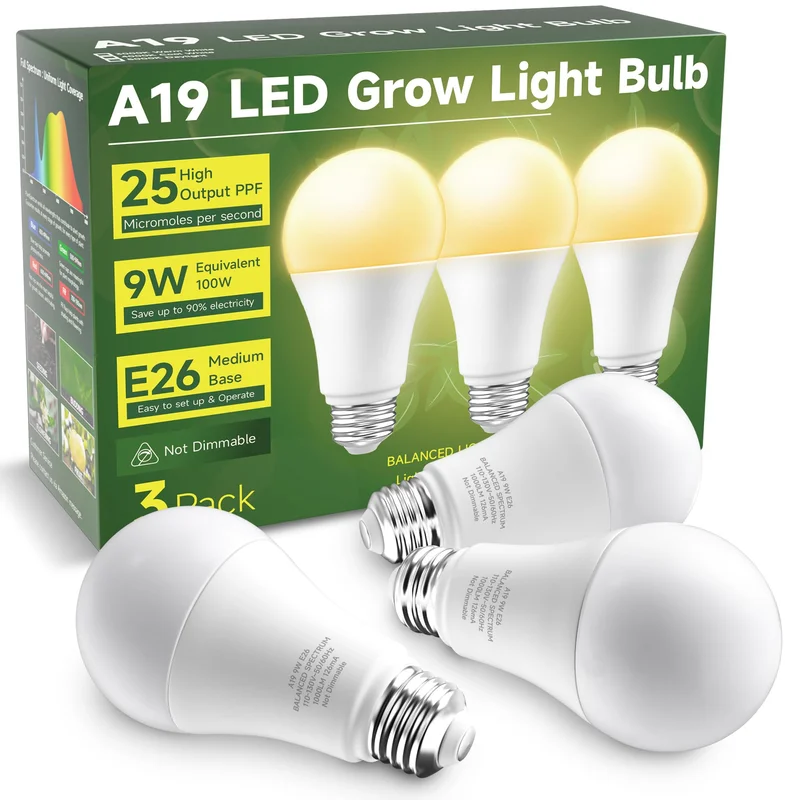 lightsdaddy656229