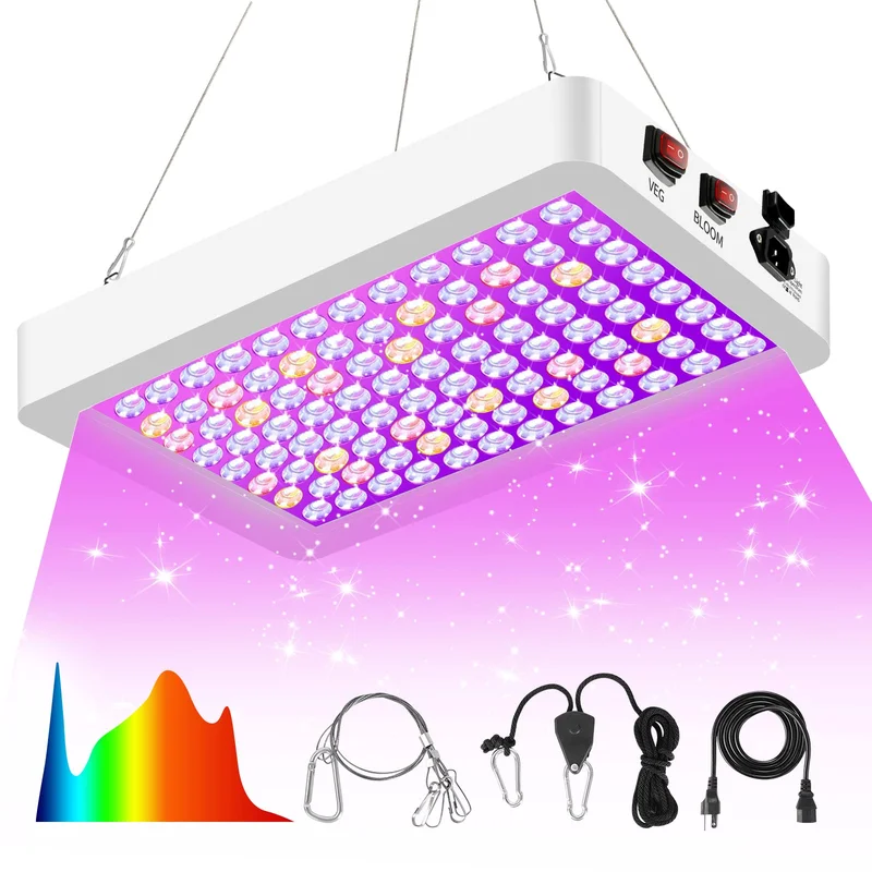lightsdaddy656767