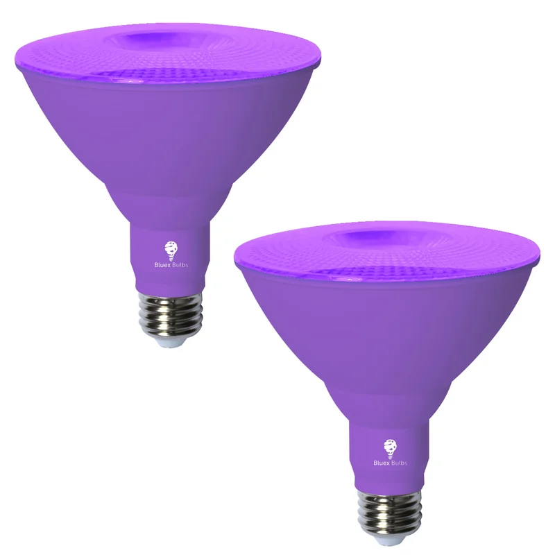 lightsdaddy659057