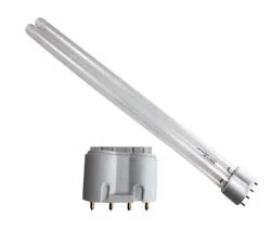 lightsdaddy661321