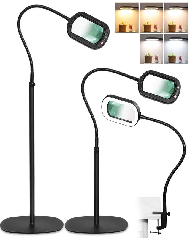 lightsdaddy665038