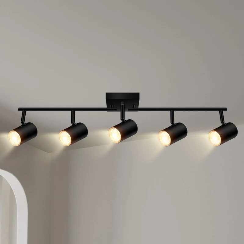 lightsdaddy669726