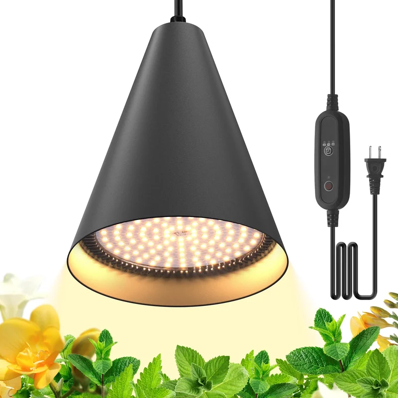 lightsdaddy672258