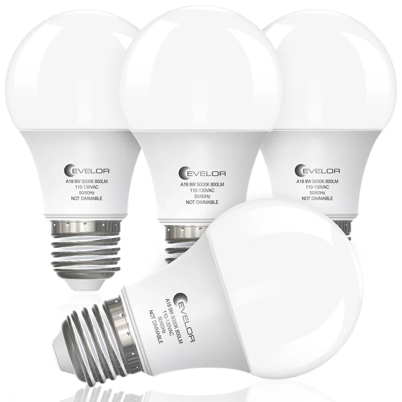lightsdaddy672530