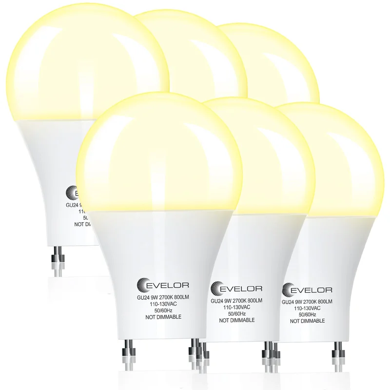 lightsdaddy679961