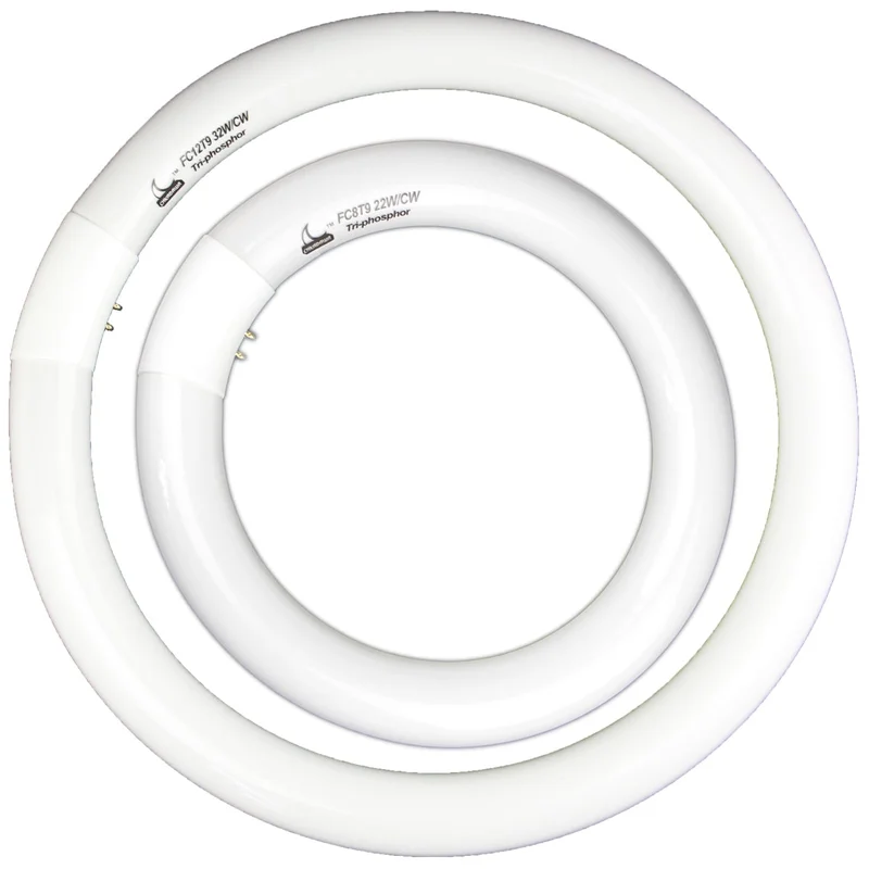 lightsdaddy680419