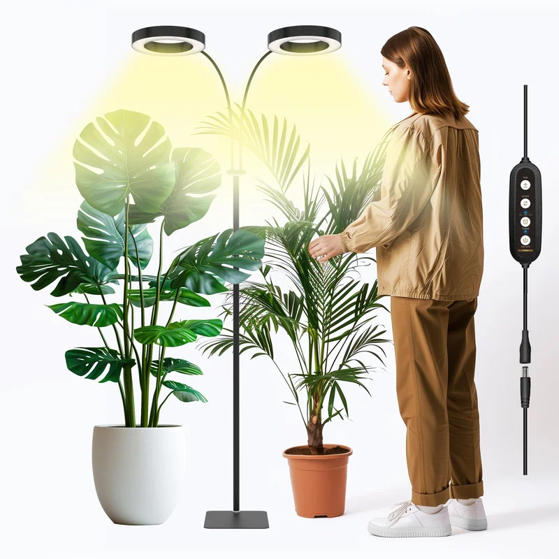 lightsdaddy680532