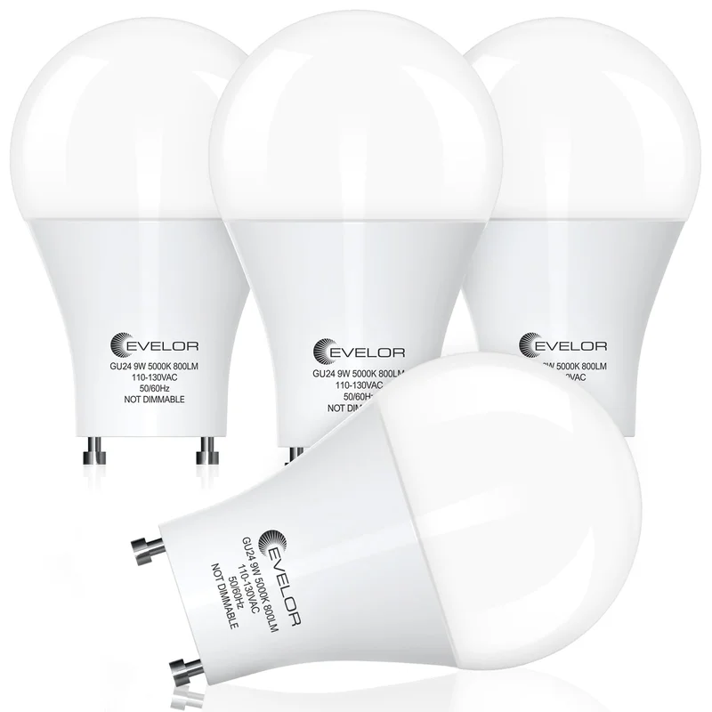 lightsdaddy682455