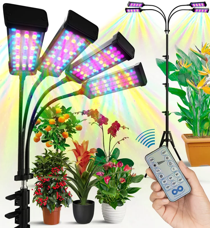 lightsdaddy683827